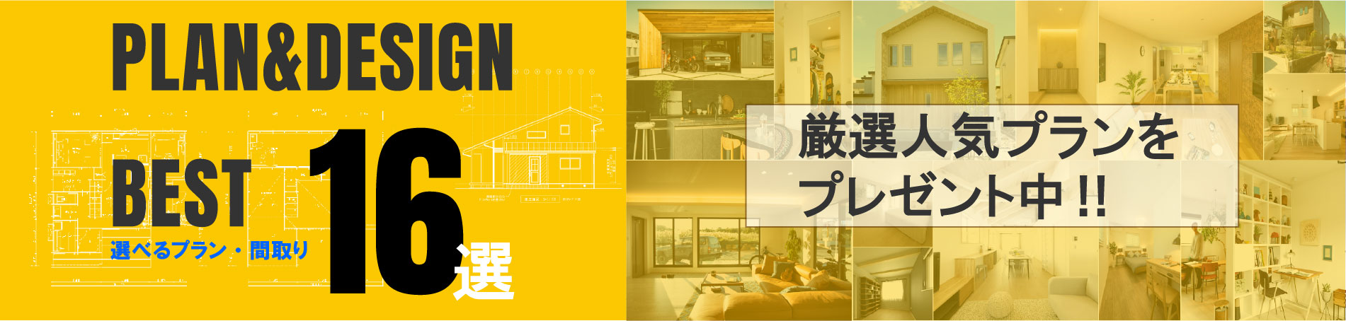 厳選人気プラン